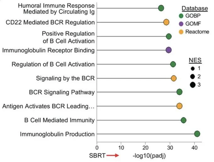 Nick Salgia: New Study Links SBRT to Humoral Immune Activation in Metastatic RCC 2 Nick Salgia: New Study Links SBRT to Humoral Immune Activation in Metastatic RCC