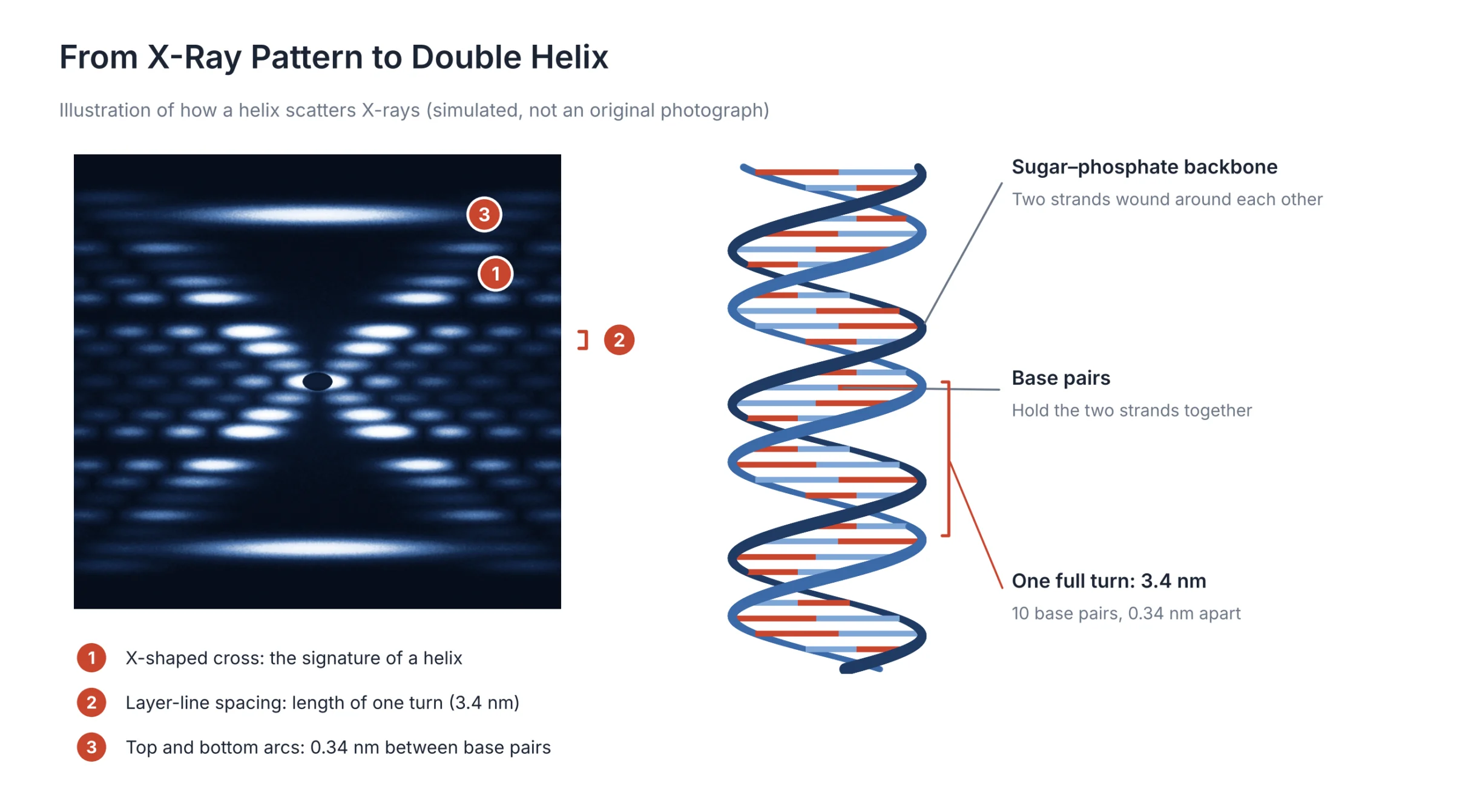 How to Become a Nobel Laureate: BIGR Analysis of 125 Years of Scientific Breakthroughs