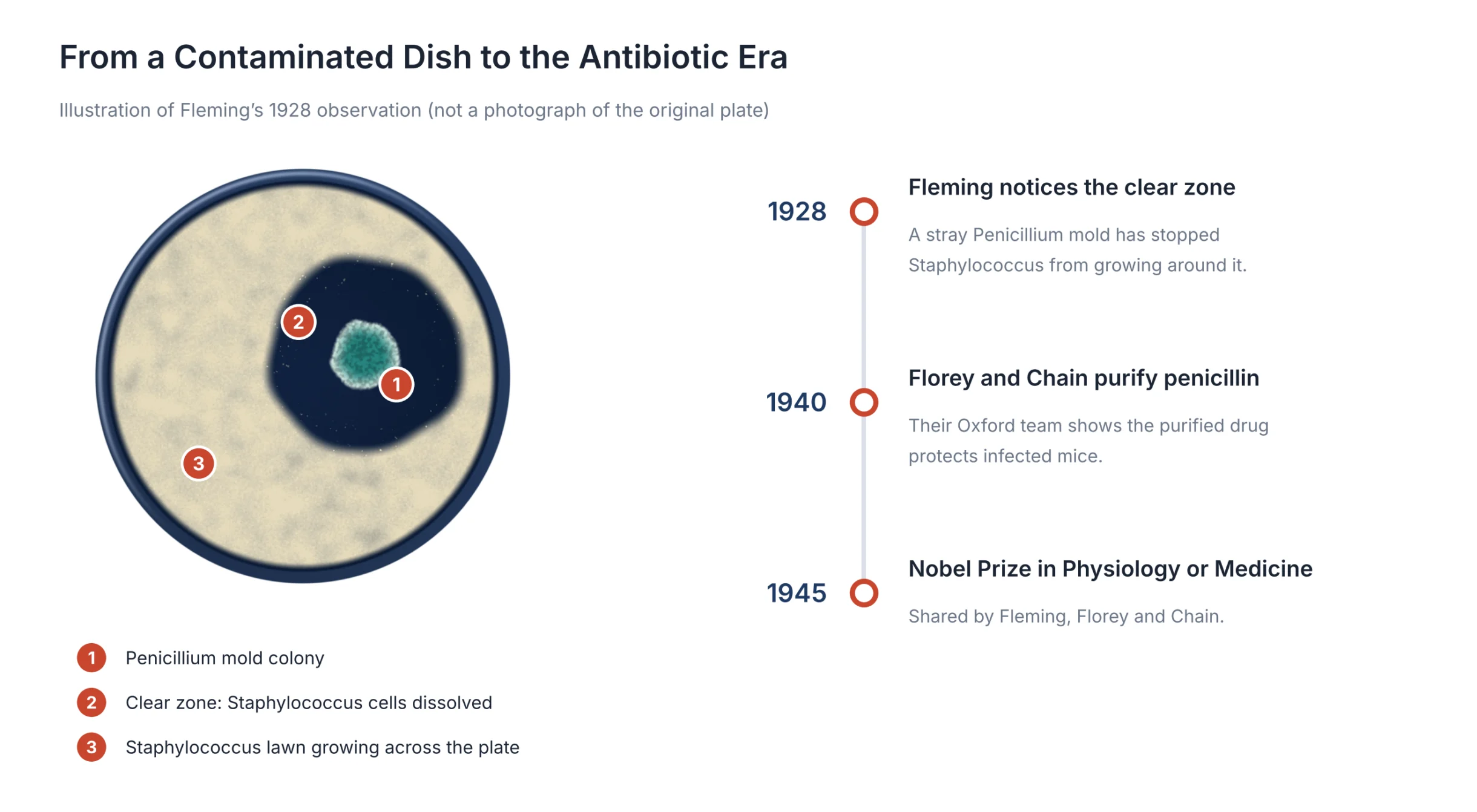 How to Become a Nobel Laureate: BIGR Analysis of 125 Years of Scientific Breakthroughs