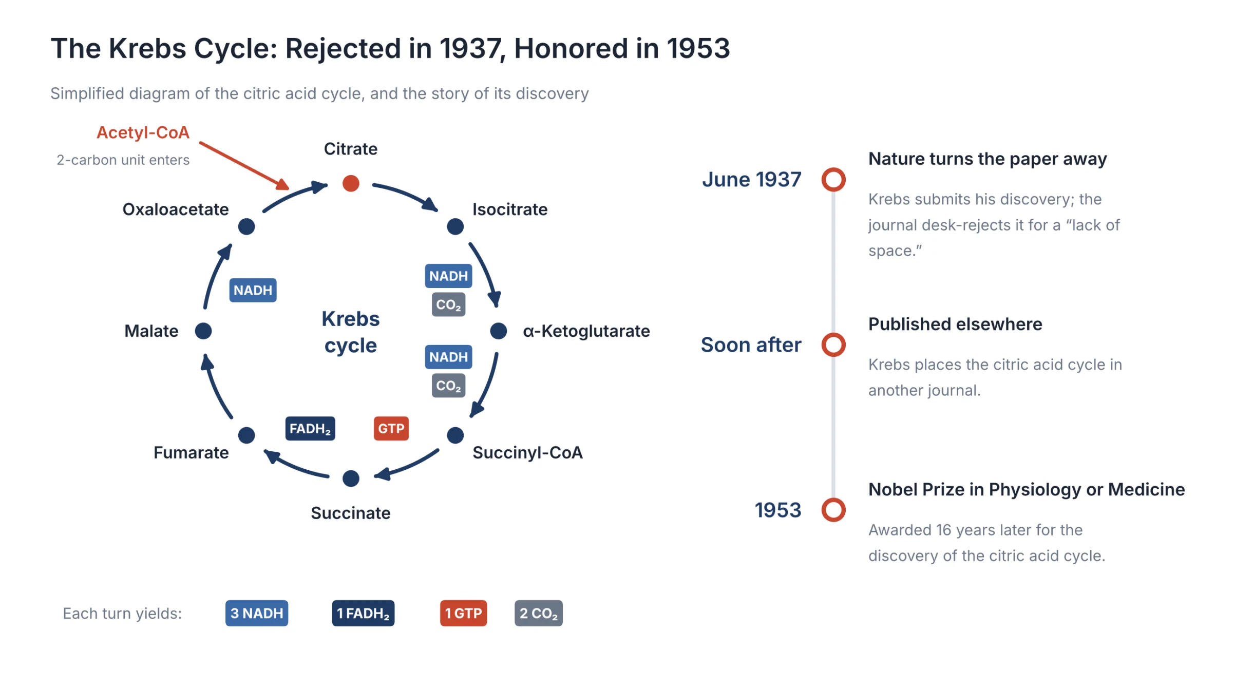 How to Become a Nobel Laureate: BIGR Analysis of 125 Years of Scientific Breakthroughs