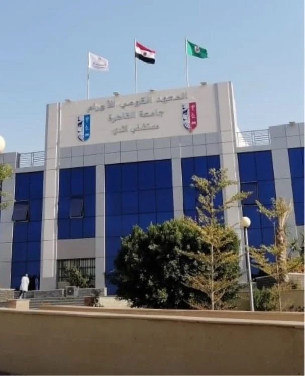 Rana Naoum: Serving as Deputy Director of the Breast Cancer Hospital NCI Cairo University 2 Rana Naoum