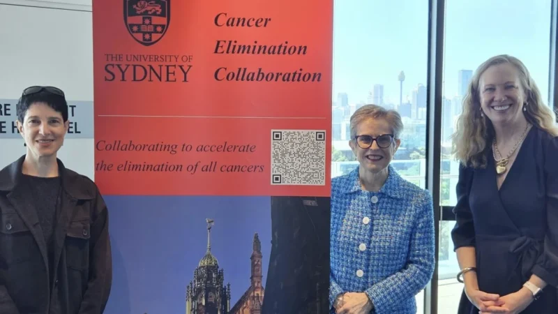 Equity and Implementation in the Australian Cancer Plan – Cancer Australia
