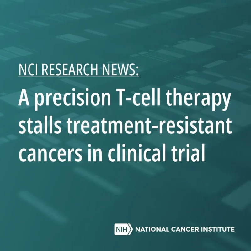 Can Invikafusp Alfa Offer New Hope for Patients With Resistant Cancers? - The National Cancer Institute