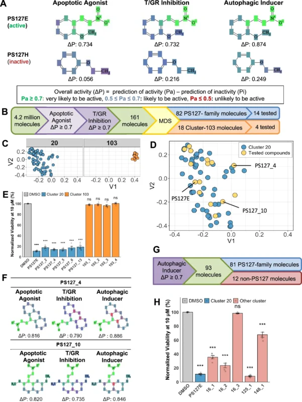 New AML-Targeting Small Molecules Identified Through Cheminformatic Screening 2 New AML-Targeting Small Molecules Identified Through Cheminformatic Screening