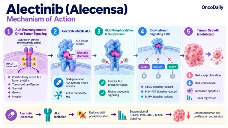 Alectinib (Alecensa): Understanding Its Mechanism, Dosing, Clinical Uses, and Role in ALK-Positive Lung Cancer 9 Alectinib OncoDaily