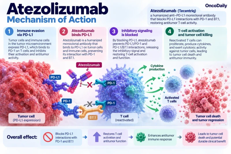 Atezolizumab OncoDaily