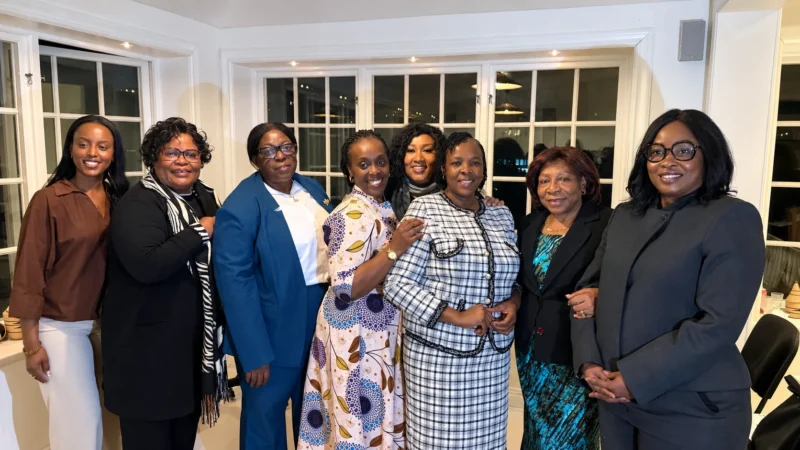 Diane Gashumba Highlights New Opportunities for Africa–Nordic Health Partnerships