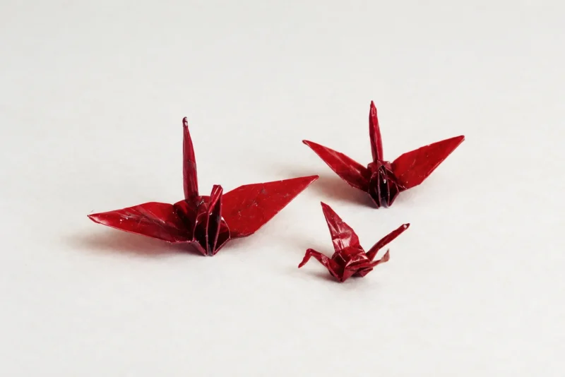 Sadako and the Thousand Paper Cranes: Leukemia in the Atomic Age