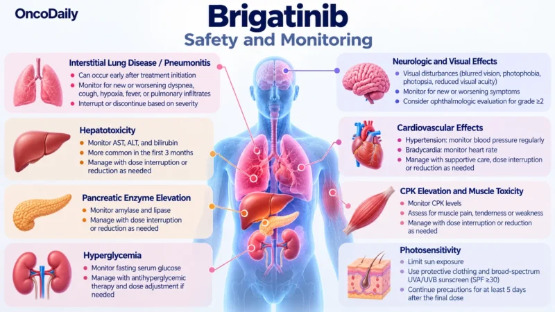 Brigatinib (Alunbrig): Understanding Its Mechanism, Dosing, Clinical Uses, and Role in ALK-Positive Lung Cancer 12 Brigatinib OncoDaily