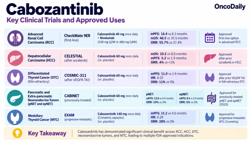 Cabozantinib: Understanding Its Mechanism, Dosing, Clinical Uses, and Role in RCC, HCC, Thyroid Cancer, and Neuroendocrine Tumors 3 Cabozantinib OncoDaily