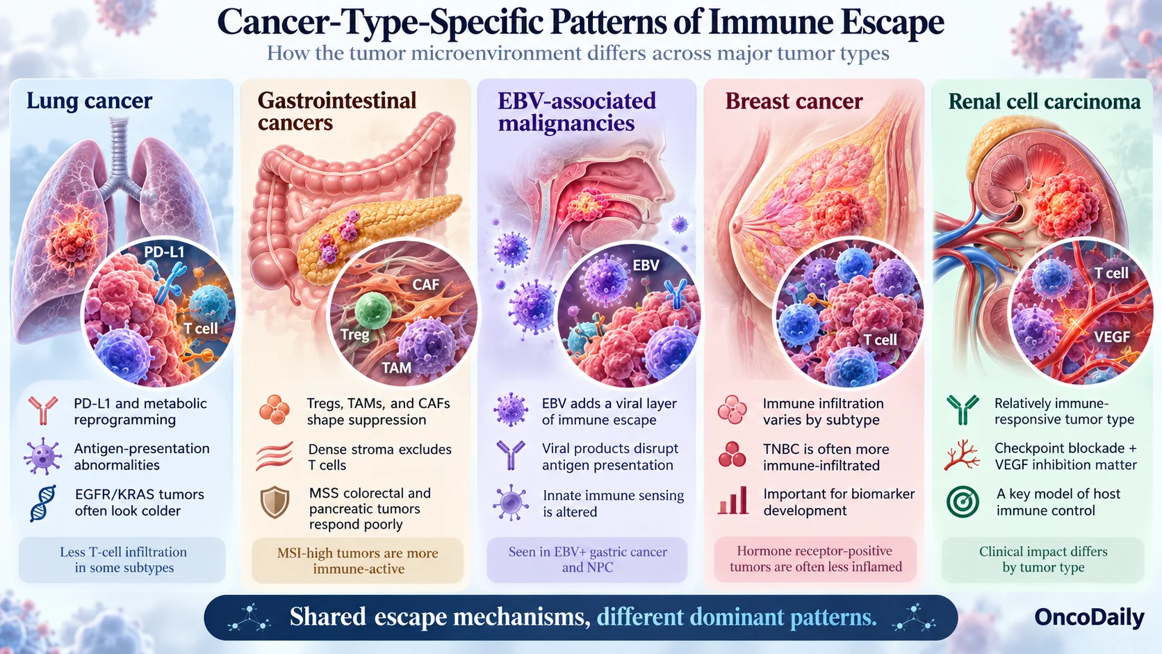 The Tumor Microenvironment and Immune Escape: Mechanisms and Therapeutic Implications