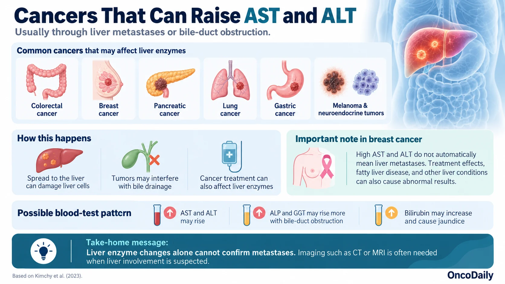 High AST and ALT and Cancer: Do Elevated Liver Enzymes Mean Cancer?