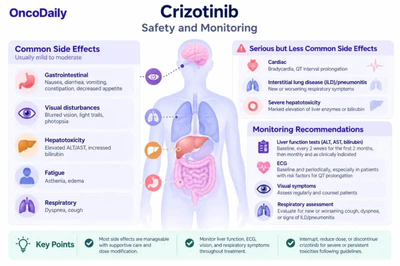 Crizotinib (Xalkori): Understanding Its Mechanism, Dosing, Clinical Uses, and Role in ALK- and ROS1-Positive Cancers 12 Crizotinib OncoDaily