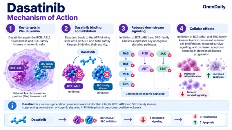 Dasatinib (Sprycel): Understanding Its Mechanism, Dosing, Clinical Uses, and Role in CML and Philadelphia Chromosome-Positive ALL 1 Dasatinib OncoDaily