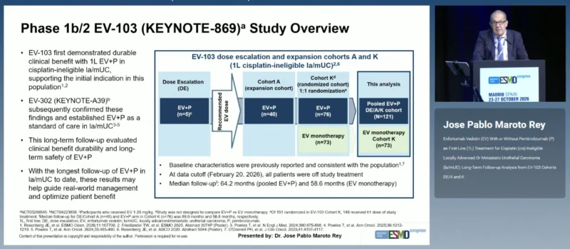 Phase Ib/II EV-103 at ESMO 2026: Long-Term Outcomes With Enfortumab Vedotin Plus Pembrolizumab in Advanced Urothelial Carcinoma 2 EV-103 design