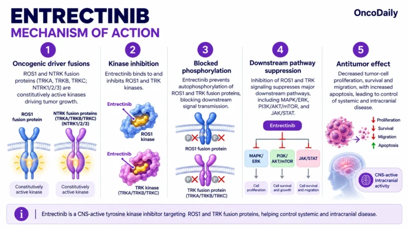 Entrectinib (Rozlytrek): Understanding Its Mechanism, Dosing, Clinical Uses, and Role in ROS1-Positive NSCLC and NTRK Fusion-Positive Tumors 9 Entrectinib OncoDaily