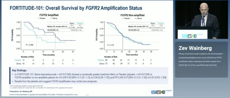 FORTITUDE-101 and FORTITUDE-102 at ESMO 2026: Bemarituzumab Efficacy by FGFR2 Amplification Status in Gastric and GEJ Cancer 3 FORTITUDE-101 results