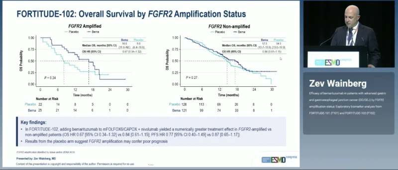 FORTITUDE-101 and FORTITUDE-102 at ESMO 2026: Bemarituzumab Efficacy by FGFR2 Amplification Status in Gastric and GEJ Cancer 4 FORTITUDE-102 results
