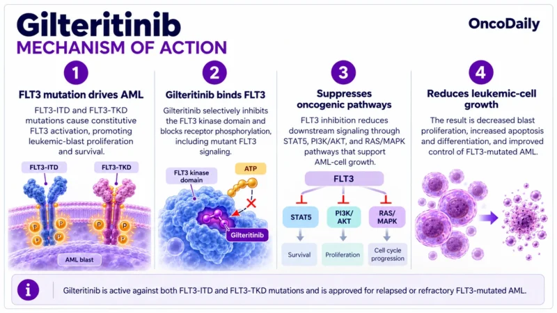 Gilteritinib (Xospata): Understanding Its Mechanism, Dosing, Clinical Uses, and Role in Relapsed or Refractory FLT3-Mutated AML 1 Gilteritinib OncoDaily