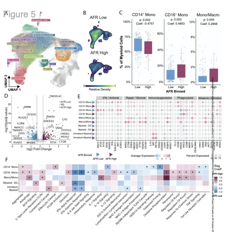 Myeloma Paper of the Day, October 6th, Suggested by Robert Orlowski