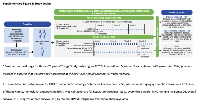 Myeloma Paper of the Day, October 19th, Suggested by Robert Orlowski