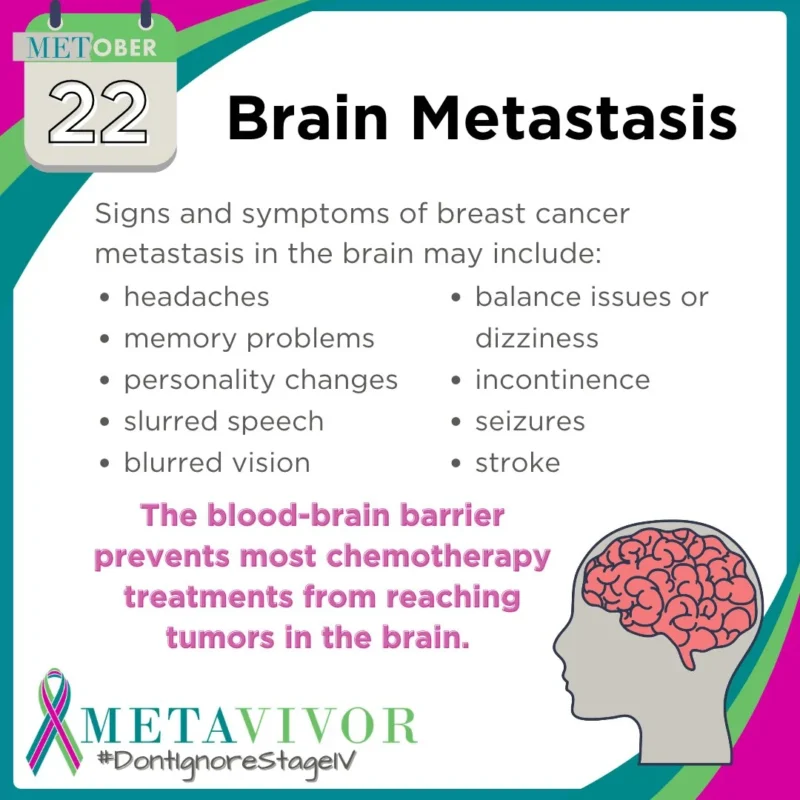 Kelly Shanahan: METAvivor Drives Research for Brain and Leptomeningeal Metastases in MBC 2 Kelly Shanahan