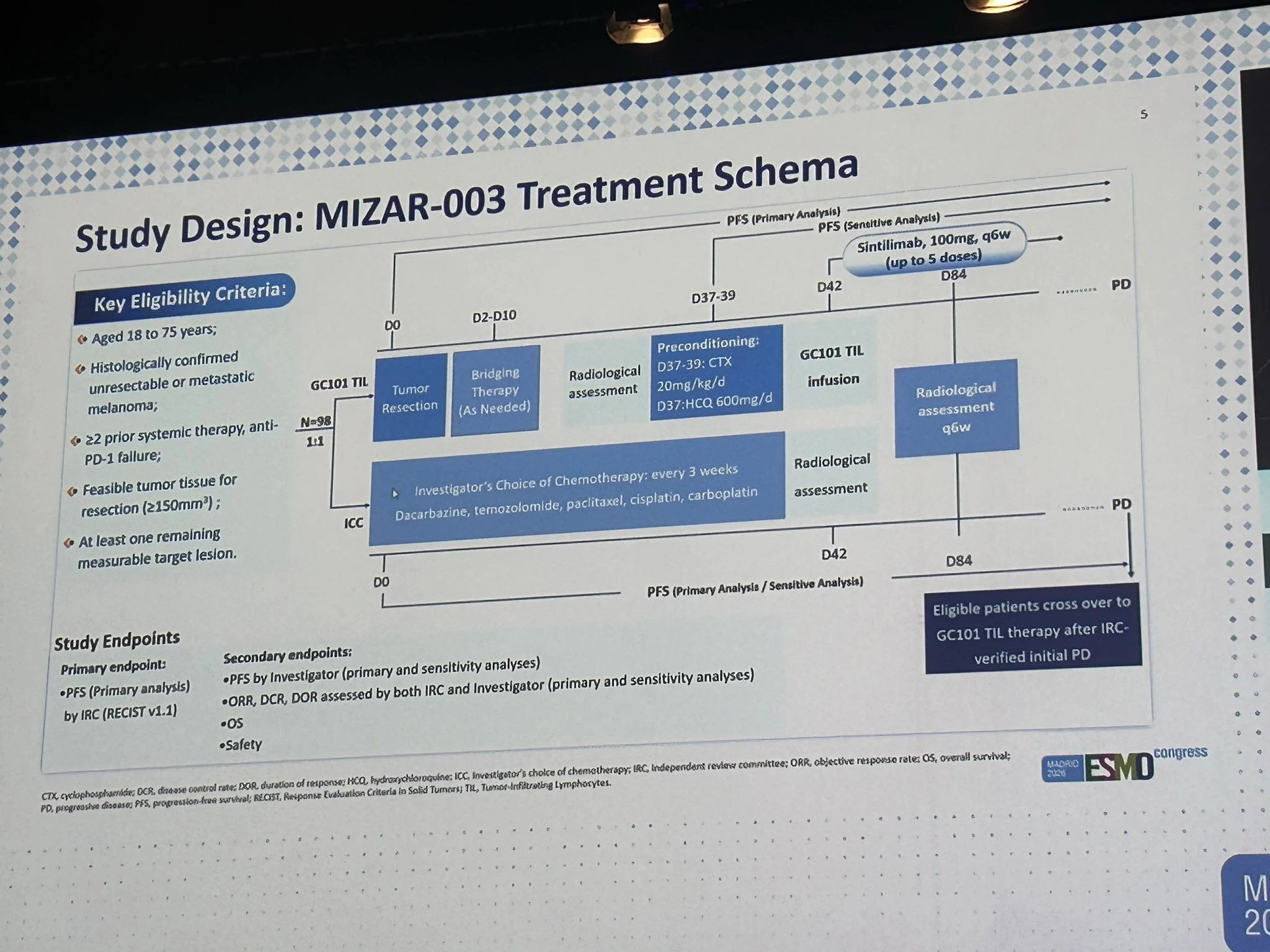 ESMO 2026: What’s New in Melanoma Immunotherapy? 3 ESMO 2026: What’s New in Melanoma Immunotherapy?