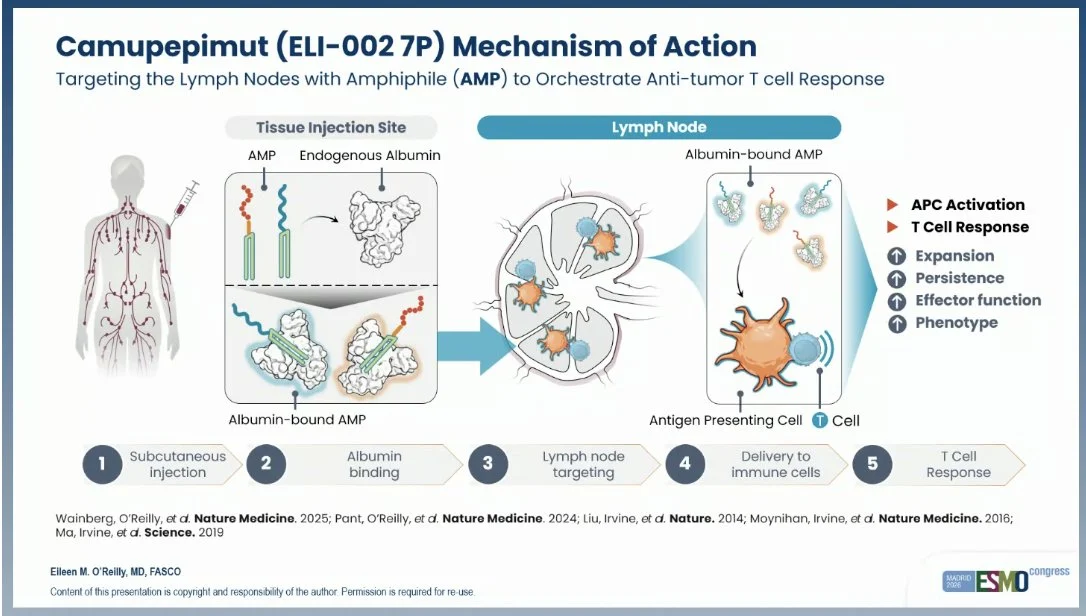 Arndt Vogel: Key Trial Results From ESMO 2026