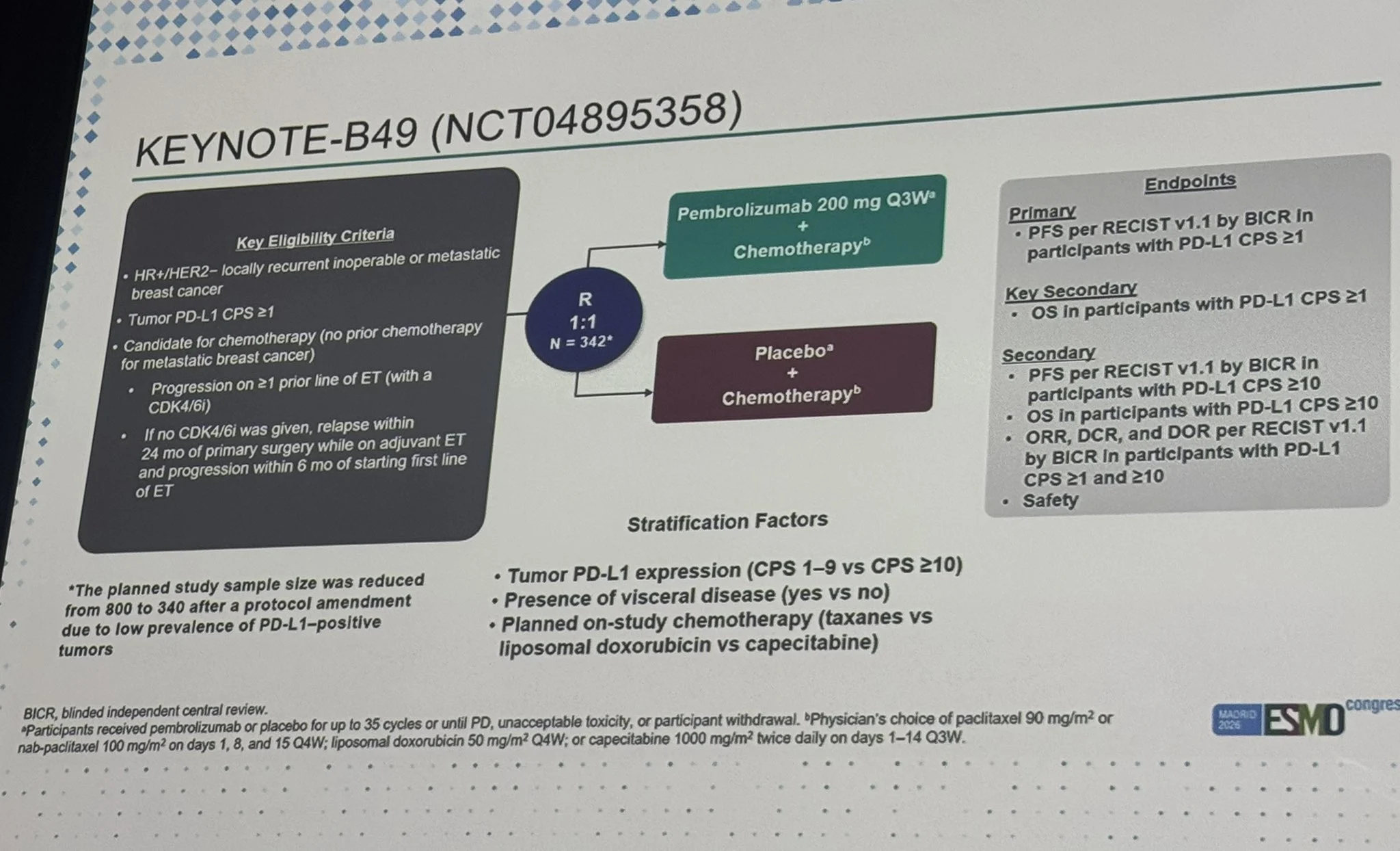 Erika Hamilton: The Clinical Takeaways From ESMO 2026
