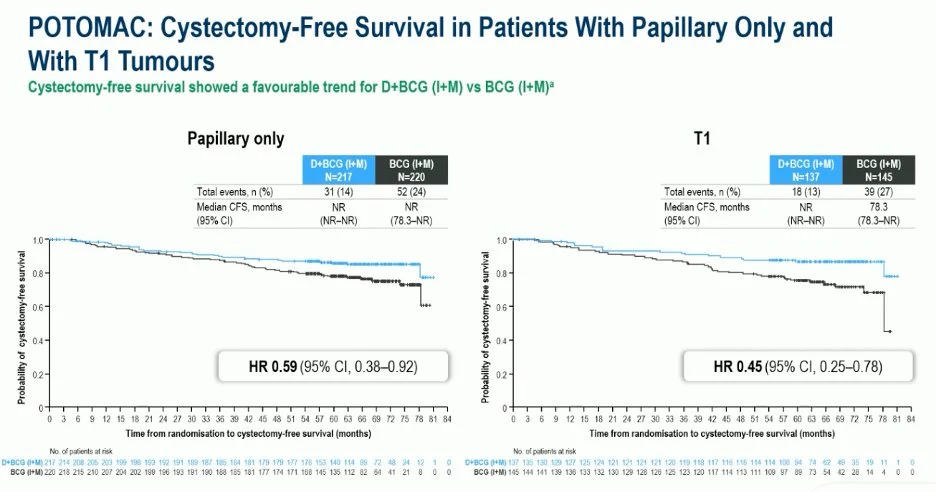 POTOMAC Trial: Durvalumab Plus BCG in High-Risk NMIBC