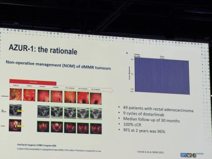 Nicholas Hornstein: Key Insights From ESMO 2026