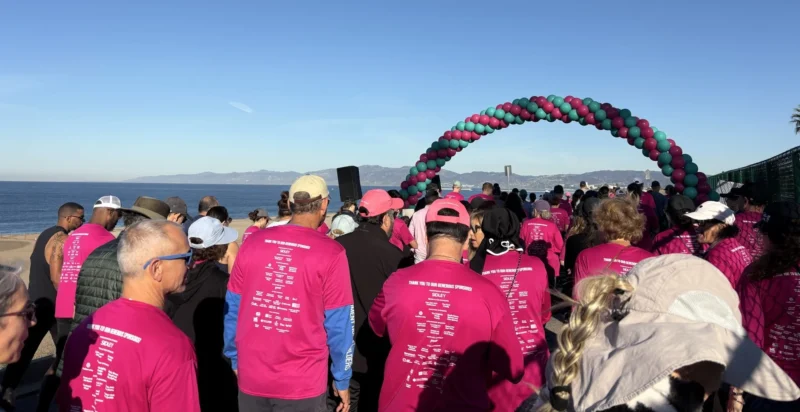 Alexis LeVee: Supporting Breast and Ovarian Cancer Awareness at the Sharsheret 5K Walk 2 Alexis LeVee