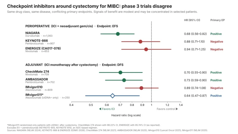 Max Kates: KEYNOTE-866 and ENERGIZE Raise Questions About Perioperative Immunotherapy in MIBC 2 Max Kates: KEYNOTE-866 and ENERGIZE Raise Questions About Perioperative Immunotherapy in MIBC