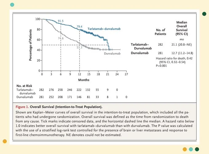 Nicholas Hornstein: Key Insights From ESMO 2026