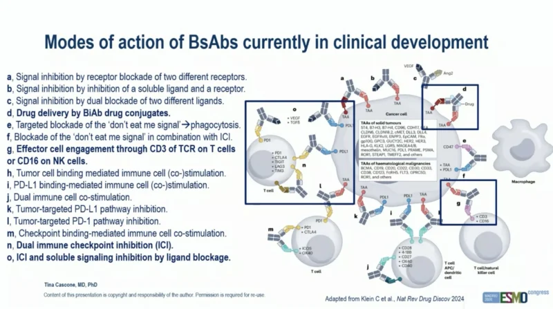 Stephen Liu: Key Insights From ESMO 2026