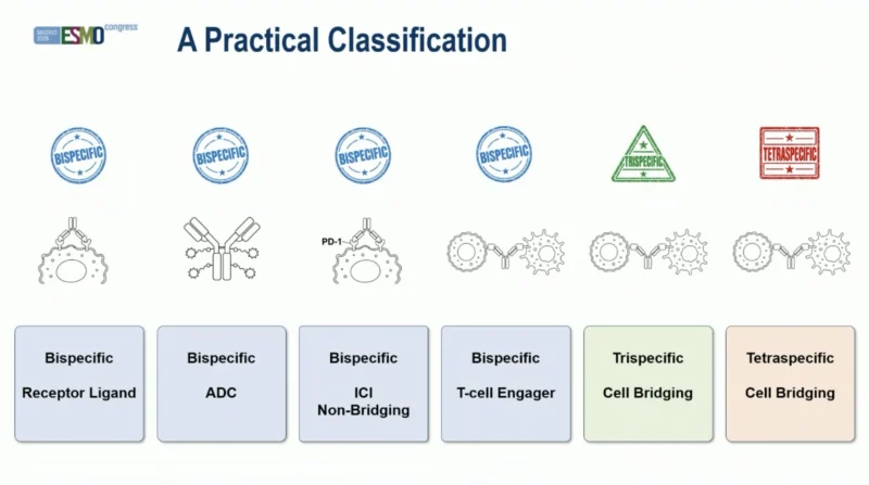 Stephen Liu: Key Insights From ESMO 2026
