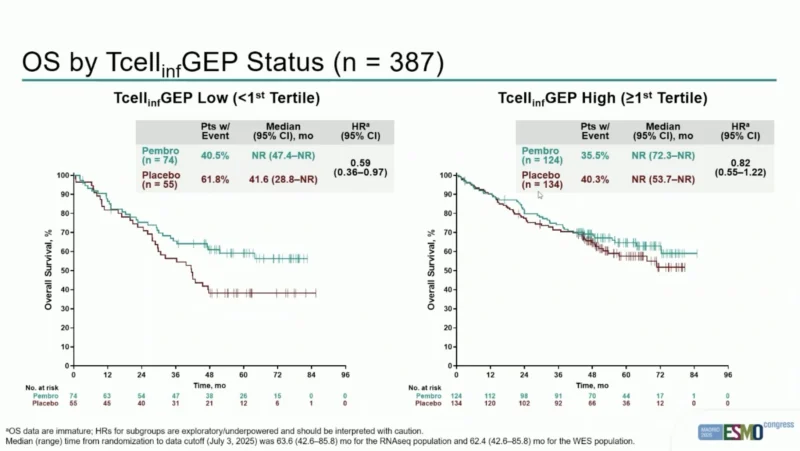 Stephen Liu: Key Insights From ESMO 2026