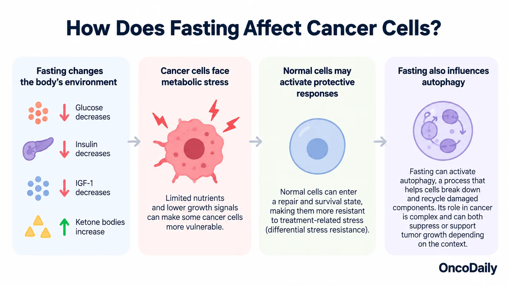 Fasting and Cancer: Evidence on Treatment, Prevention, and Safety 4 Fasting and Cancer: Evidence on Treatment, Prevention, and Safety