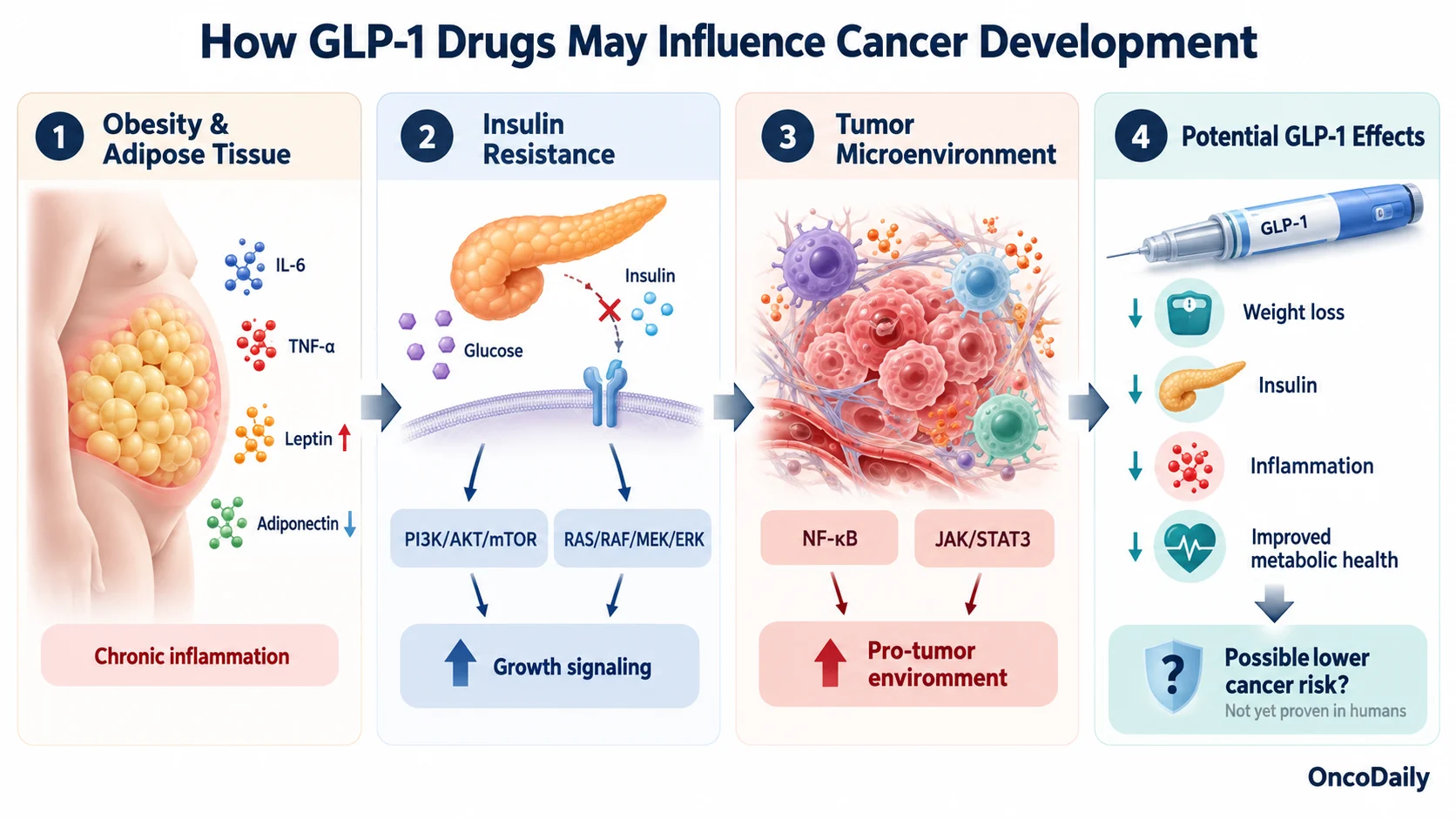 GLP-1 and Cancer: What Research Shows About Cancer Risk and Prevention