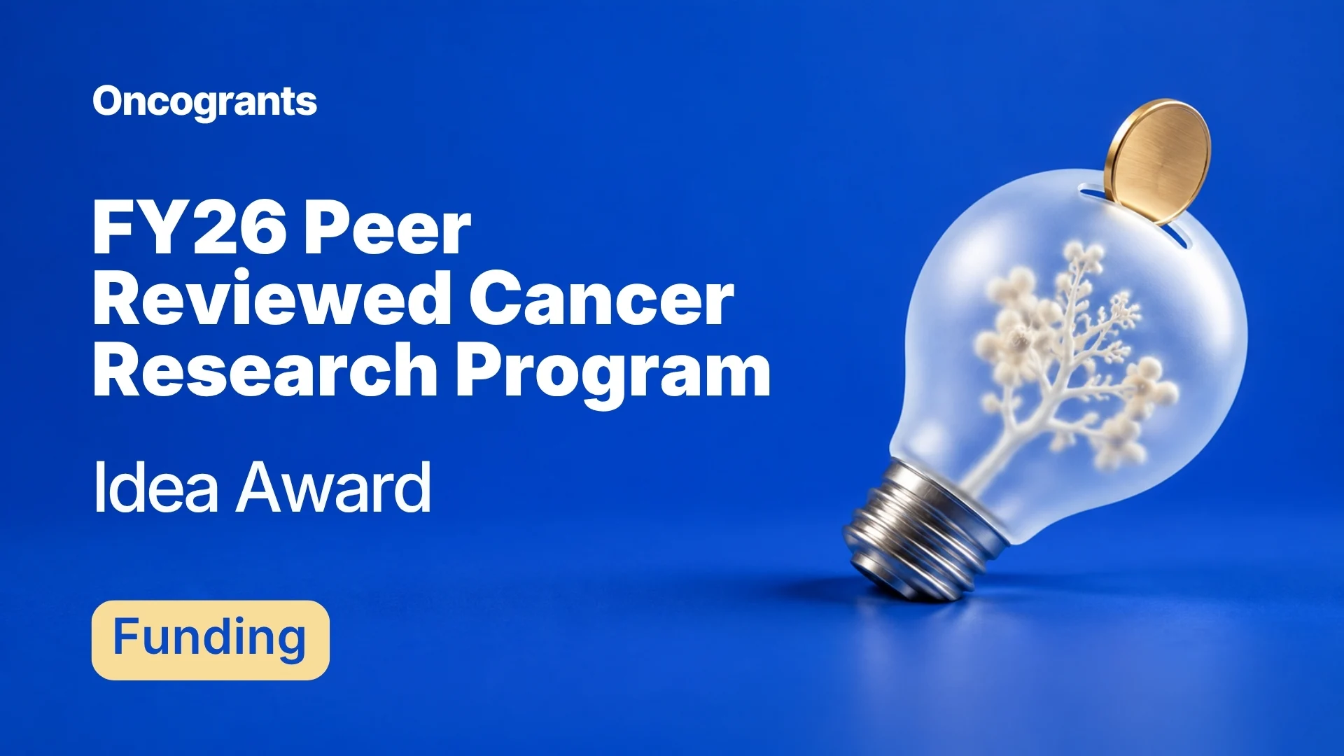 Cancer Research Program