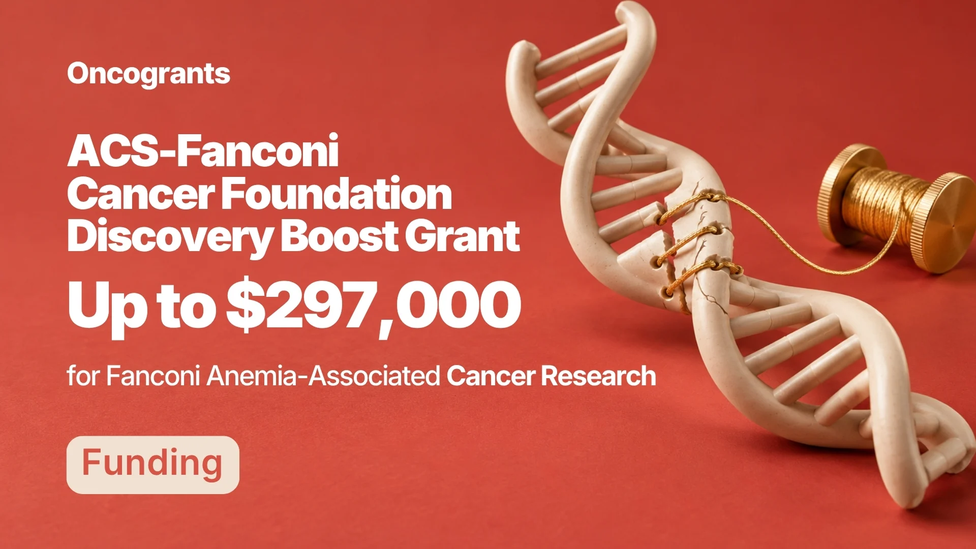 Fanconi Anemia