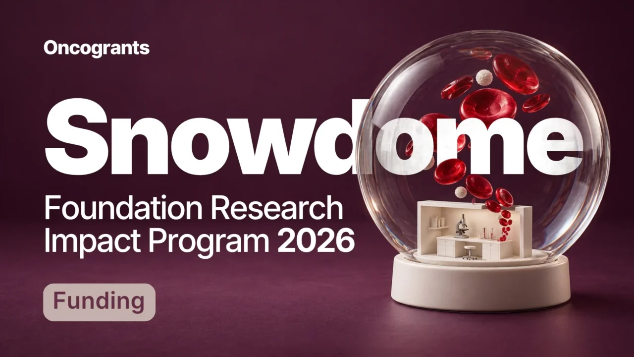 Snowdome Foundation Research Impact Program 2026