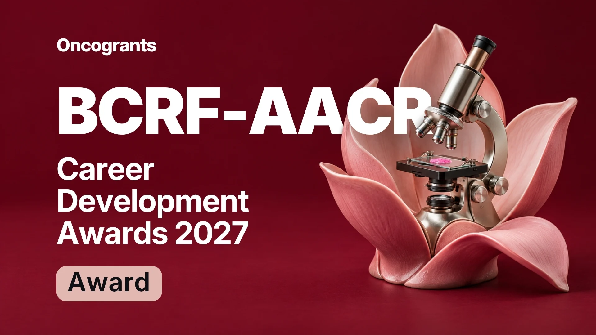 AACR