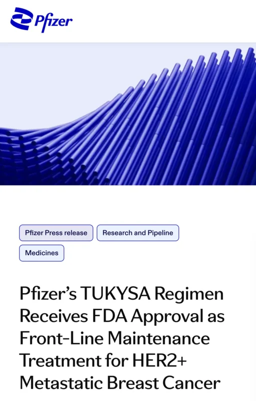 FDA Approves Tucatinib as Front-Line Maintenance in HER2-Positive Metastatic Breast Cancer 2 tucatinib