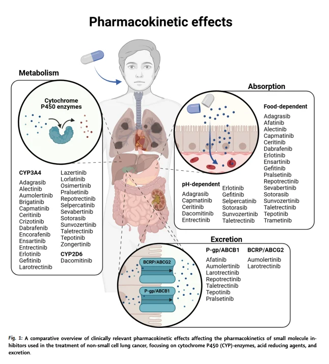 Small-Molecule Inhibitors