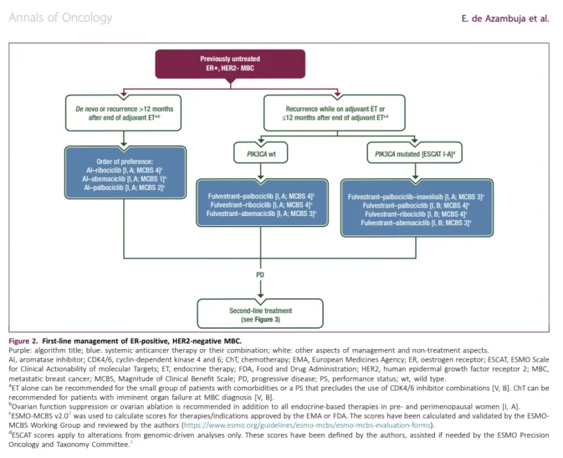 metastatic breast cancer
