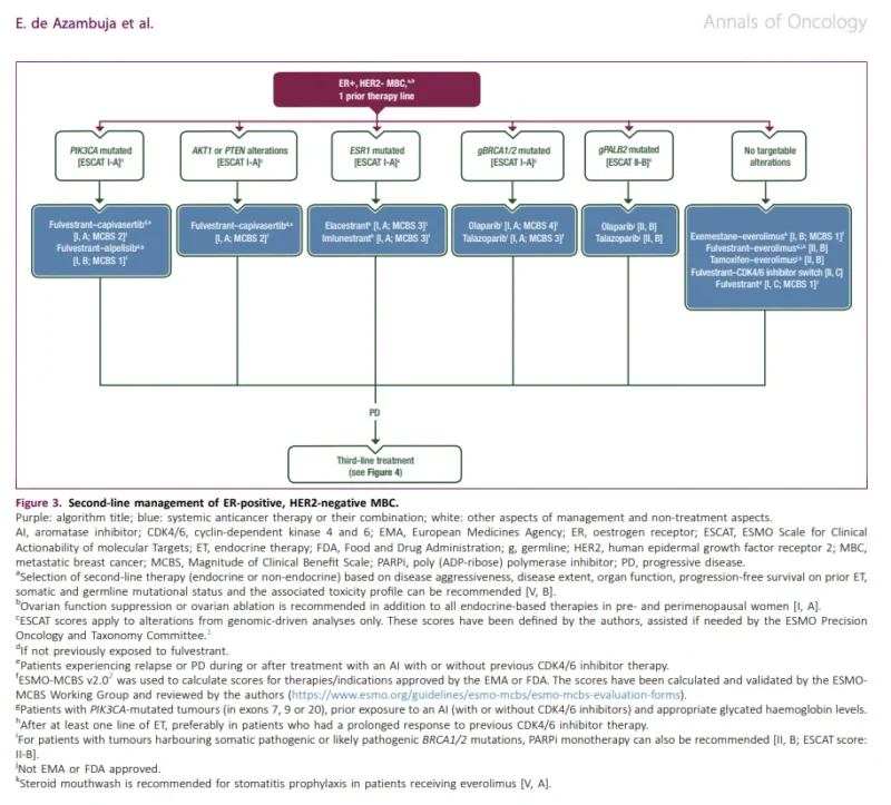 metastatic breast cancer