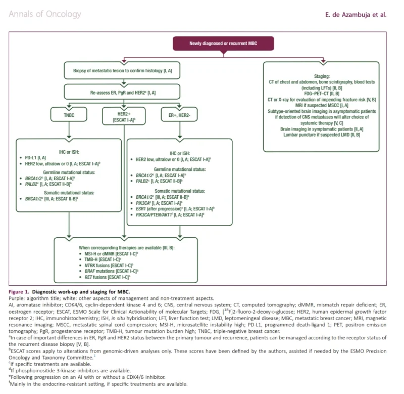 metastatic breast cancer