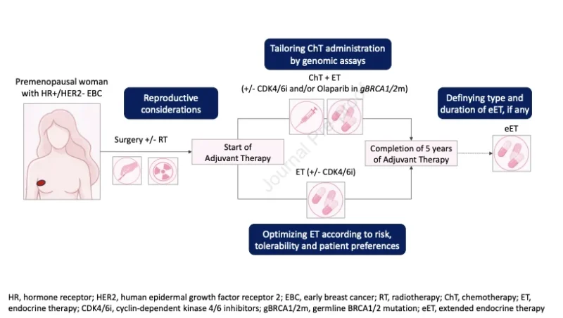 Premenopausal HR+/HER2− Early Breast Cancer: Where Evidence Still Falls Short in Adjuvant Care 2 Breast Cancer