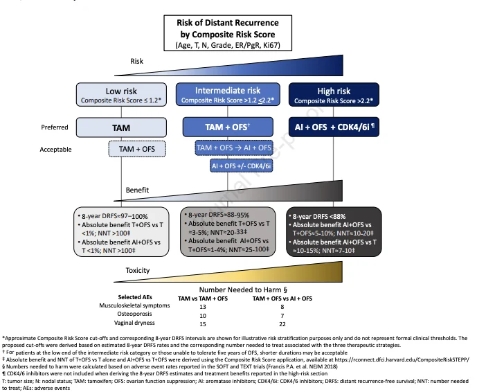 Premenopausal HR+/HER2− Early Breast Cancer: Where Evidence Still Falls Short in Adjuvant Care 3 Breast Cancer